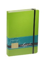Ежедневник недат. А5 160л "MEGAPOLIS VELVET" салатовый, на резинке, иск.кожа, тонир.блок, карман, ляссе, Bruno Visconti