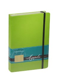Ежедневник недат. А5 160л "MEGAPOLIS VELVET" салатовый, на резинке, иск.кожа, тонир.блок, карман, ляссе, Bruno Visconti