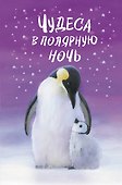 Чудеса в полярную ночь - 0