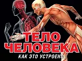 Тело человека