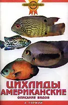 Цихлиды американские. Описание видов