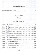 Без семьи - 1