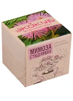 Набор для опытов и экспериментов Набор для выращивания Экокуб Мимоза стыдливая