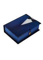 Коробка для подарков Феникс презент Джентельмен M 20*14*6см 39477