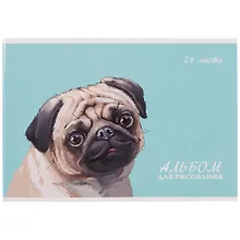 Альбом для рисования «Мопс» Феникс+ А4, 24 листа