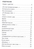 Сходи со мной с ума. Сборник стихов - 1