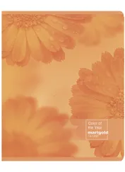 Тетрадь в линейку Academy Style, "Календула", 96 листов