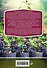 Своя рассада. Легко и надежно - 1