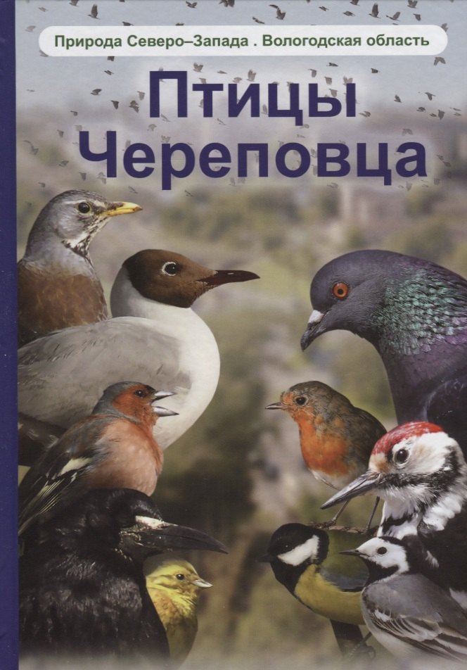 

Птицы Череповца