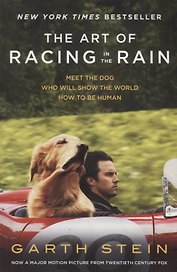 The Art of Racing in the Rain