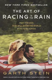 The Art of Racing in the Rain