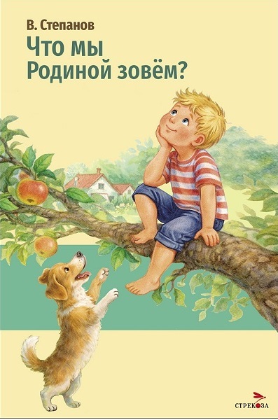 Обложка книги «Что мы Родиной зовем?»