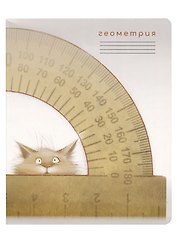 Тетрадь предметная «Кот учёный. Геометрия» 48 листов в клетку, со справочными материалами - Be positive