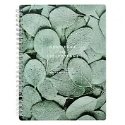 Тетрадь в клетку Be Smart, "Botanica. Эвкалипт популус", 120 листов