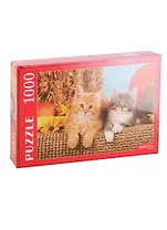 Пазл Котята и тыквы ТМ Рыжий кот 1000 элементов КБ1000-7888