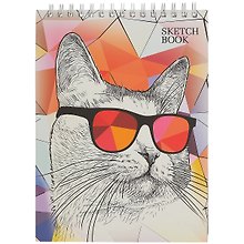 Скетчбук «Модный кот», 60 листов, А4