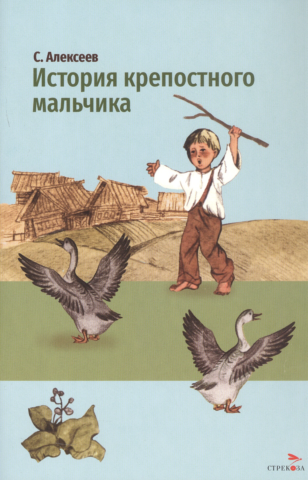 Обложка книги «История крепостного мальчика»