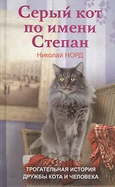 Серый кот по имени Степан. Трогательная история дружбы кота и человека.