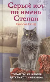 Серый кот по имени Степан. Трогательная история дружбы кота и человека.