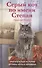 Серый кот по имени Степан. Трогательная история дружбы кота и человека. - 0