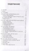 Боги на утреннем небе. Религия североевропейского бронзового века - 1