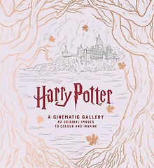 Harry Potter a Cinematic Gallery (JM Dragunas) Гарри Поттер Киногаллерея (Дж М Драгунас)/ Книги на английском языке