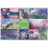 Альбом для рисования BG, Live Planet, А4, 16 листов, на скобе, в ассортименте