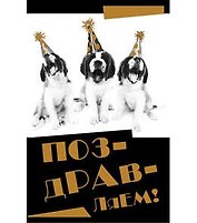 Открытка А5 Поздравляем (Собаки) 5-10-0584
