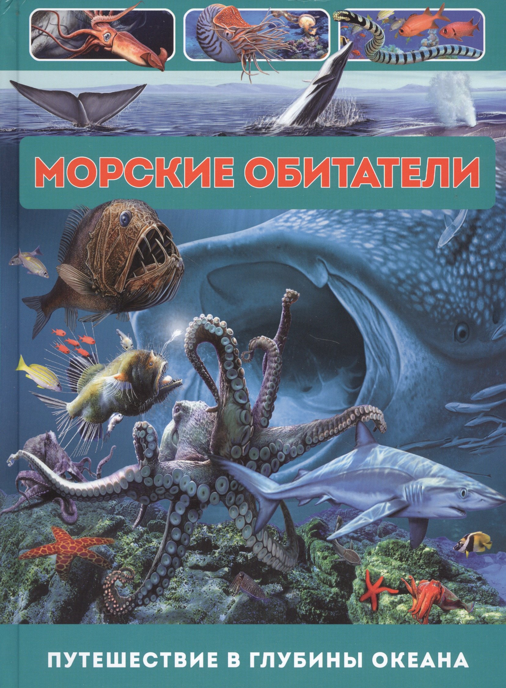 

Морские обитатели. Путешествие в глубины океана