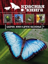 Бабочки, жуки и другие насекомые