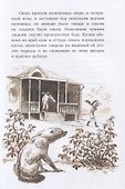Жила на свете собака. Рассказы - 2