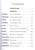 План достижения успеха. 365 идей - 1