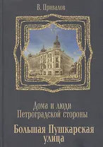 Большая Пушкарская улица