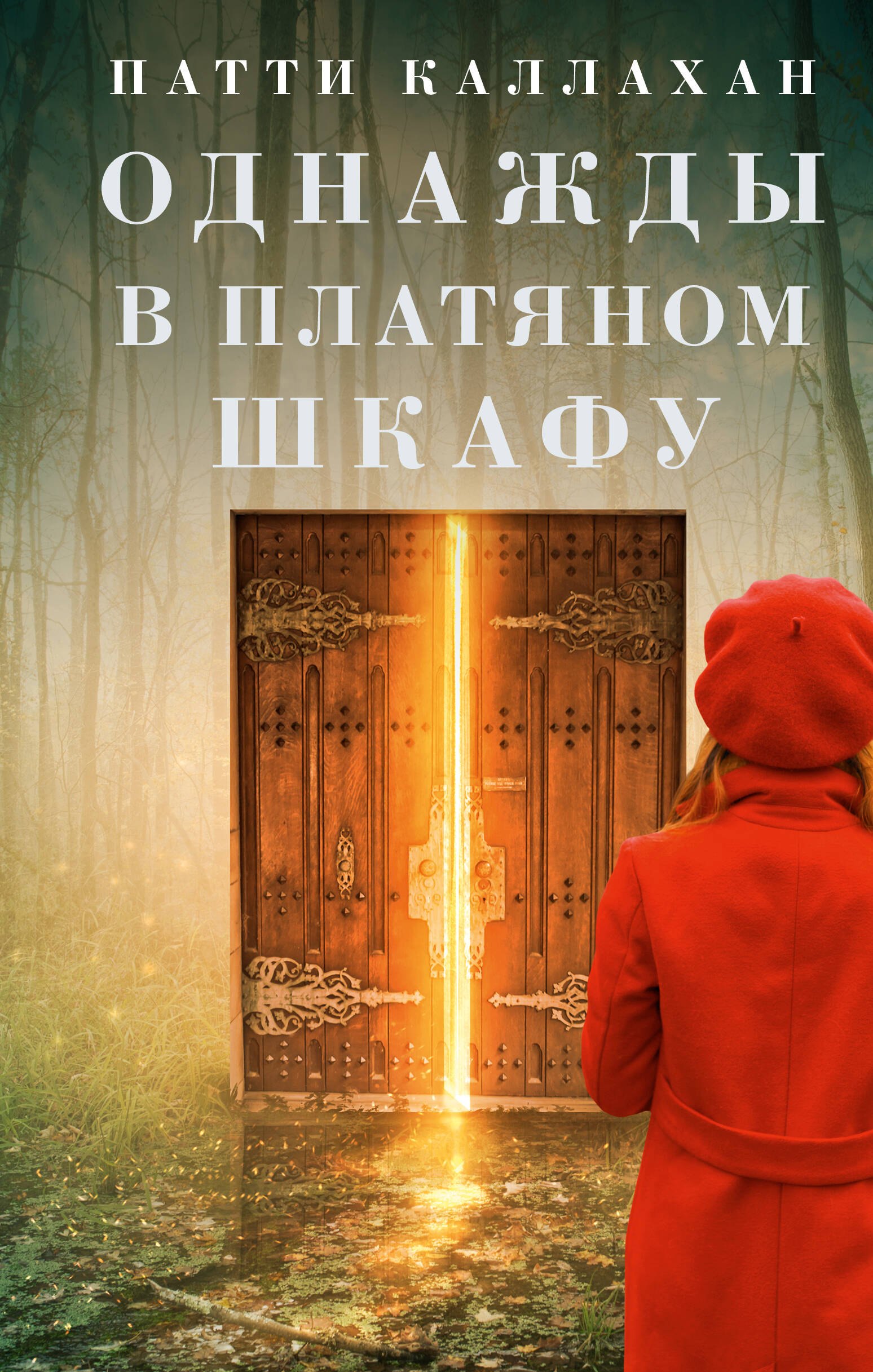 

Однажды в платяном шкафу