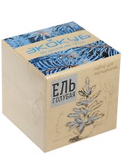 ЭкоКуб Голубая ель (1510796)