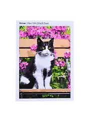 Кпн-104 Картина по номерам Котик (ПочСебяХуд) (20х28 см) (коробка) (LORI)