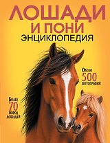 Лошади и пони
