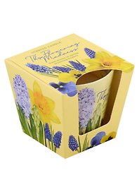 Ароматизированная свеча в стакане Цветущее безумие (Flowering madness) (115гр) (подарочная упаковка)