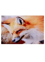 Алмазная мозаика квадратная "Пушистая рыжая лисичка", 17x22