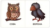 Книга Мои первые слова. Дикие животные. 1-2 года - 2