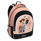 Рюкзак "Jack Russell" 1отд., 39*28*14см 3 кармана, 520 гр, грудн. перемычка, эргоном.спинка, Erich Krause