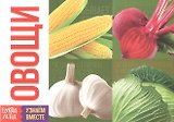 Обучающая книга «Овощи»
