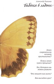 Бабочка в ладони Зачем современному человеку христианство (м) Ткаченко
