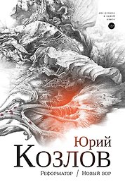 Реформатор. Новый вор