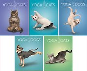 Тетрадь 96л кл. "Yoga Animals" двойн.УФлак, ассорти, Академия Групп