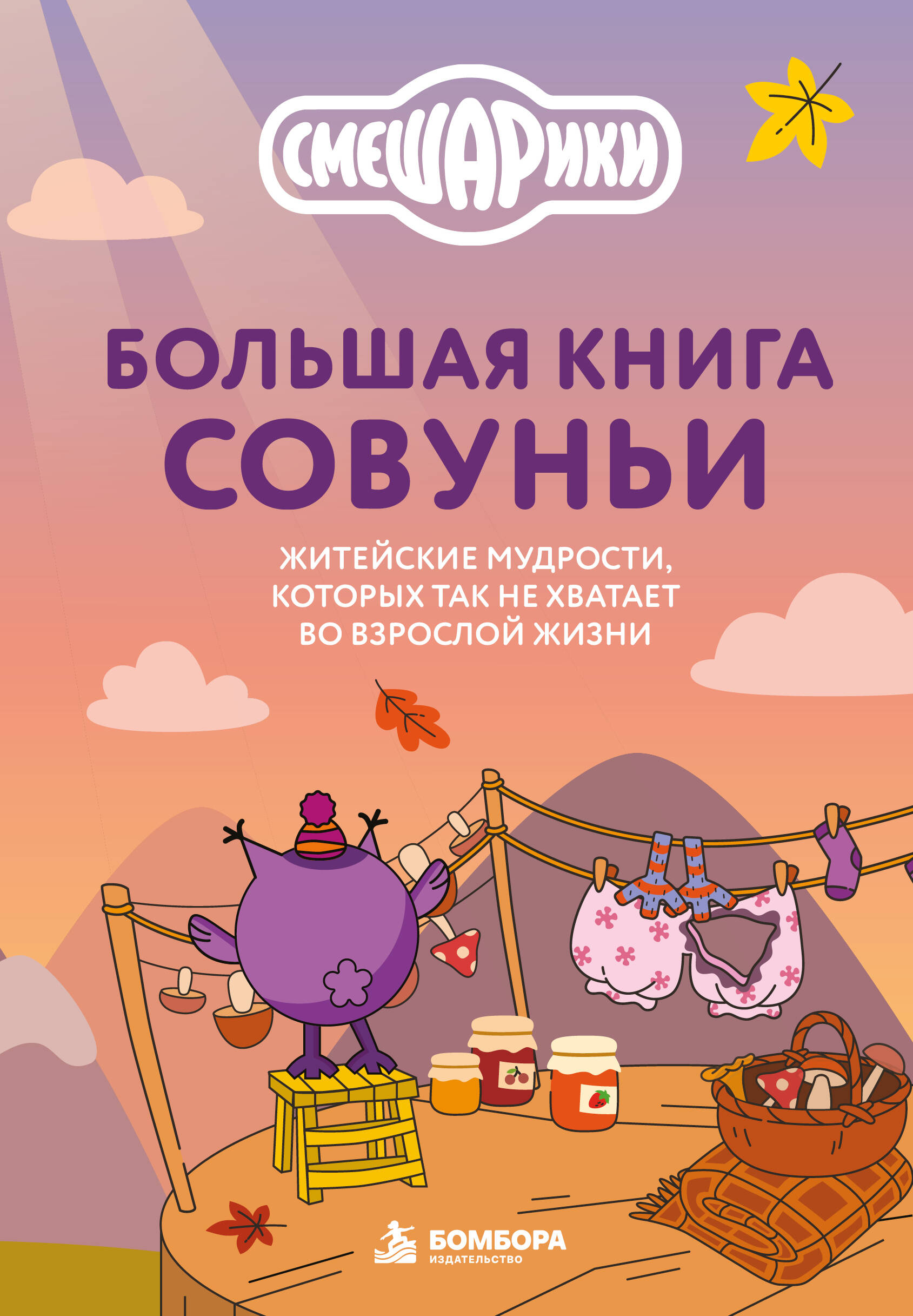 Обложка книги «Большая книга Совуньи. Житейские мудрости, которых так не хватает во взрослой жизни»