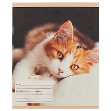 Тетрадь в линейку Unnika «Домашние любимцы. Котята» в ассортименте, 12 листов