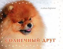 Солнечный друг
