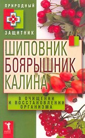 Шиповник боярышник калина в очищении и восстановлении организма