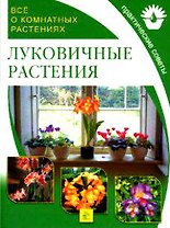 Луковичные растения